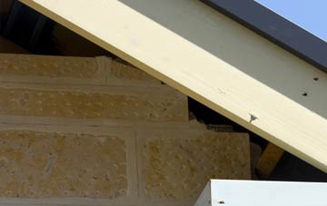 soffit repair Trevescan
